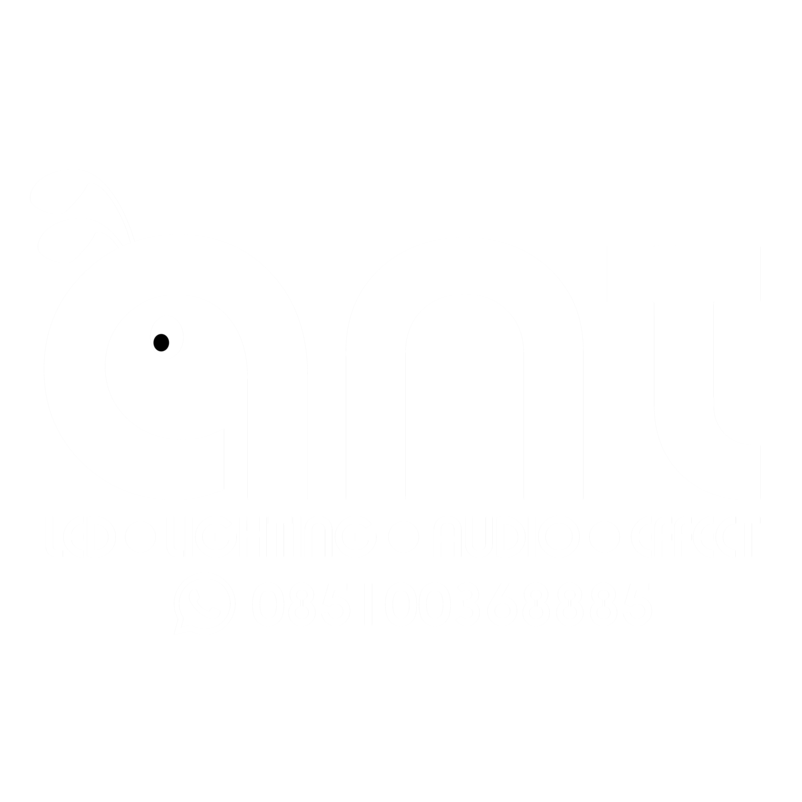 Ant Lightning
