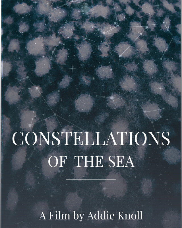Constellations of The Sea